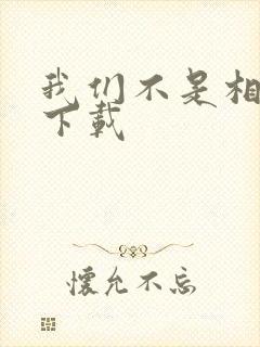 我们不是相爱吗下载