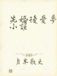 先婚后爱梦筱二小说