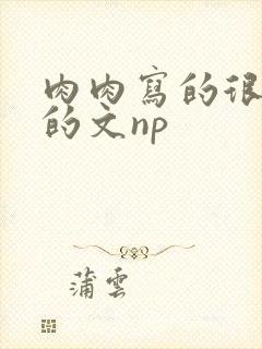 肉肉写的很细致的文np