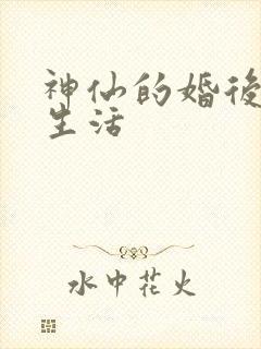 神仙的婚后都市生活