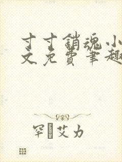 寸寸销魂小说全文免费笔趣阁