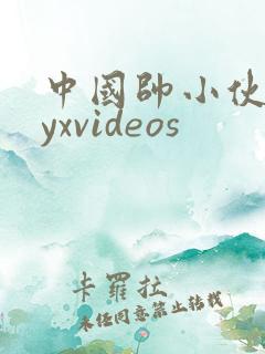 中国帅小伙gayxvideos
