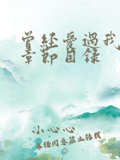 曾经爱过我刘念章节目录