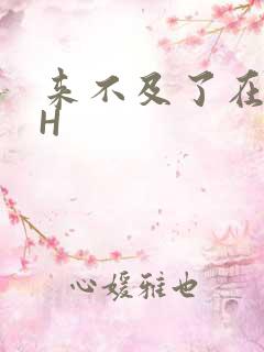 来不及了在车CH