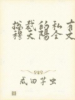 总裁的私有宝贝穆天阳全文阅读