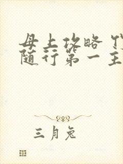 母上攻略 竹影随行第一主板