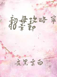 韵母攻略宁秋婉90章节