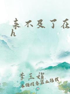 来不及了在车ch