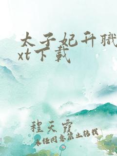 太子妃升职记txt下载