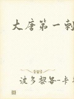 大唐第一刺局
