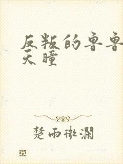 反叛的鲁鲁修之天瞳