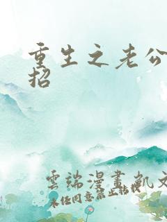 重生之老公请接招