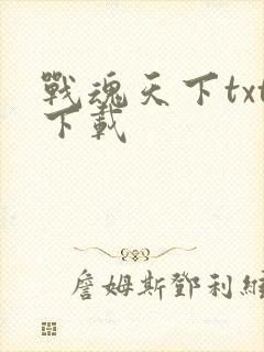 战魂天下txt下载