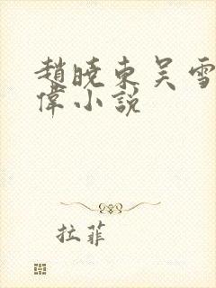 赵晓东吴雪晴郑伟小说