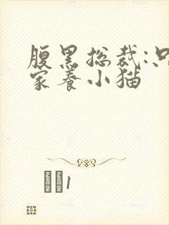 腹黑总裁:只疼家养小猫