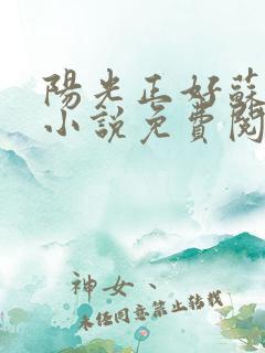 阳光正好苏玥玥小说免费阅读