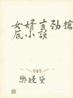 女婿有劲枪枪到底小说