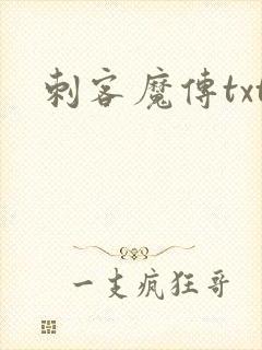 刺客魔传txt