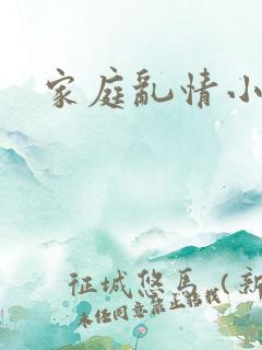 家庭乱情小说