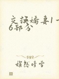 交换娇妻1一36部分
