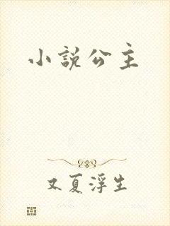 小说公主