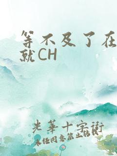 等不及了在车里就CH