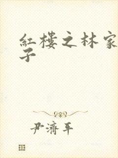 红楼之林家庶长子