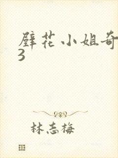 壁花小姐奇遇记3