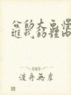 公的大龟慢慢挺进我的体内视频