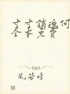 寸寸销魂何生祥全本免费