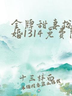 金牌甜妻总裁宠婚1314免费阅读