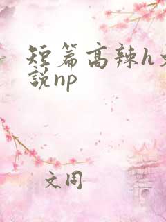 短篇高辣h文小说np