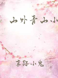 山外青山小说