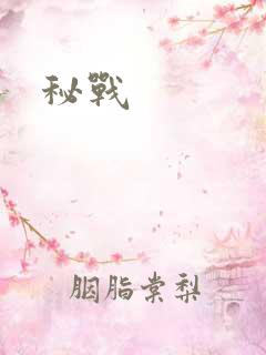 秘战