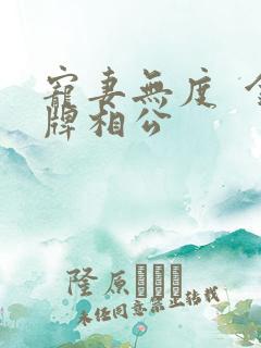 宠妻无度  金牌相公