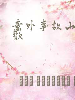 意外事故山月辞欢