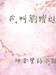 我叫刘跃进下载