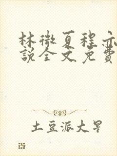 林微夏程亦风小说全文免费