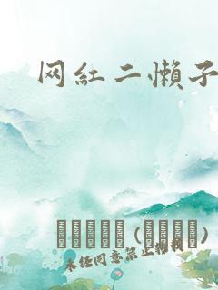 网红二懒子车祸