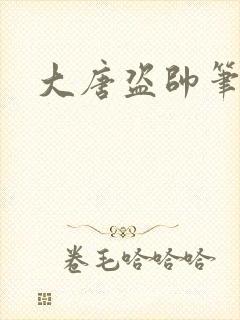 大唐盗帅笔趣阁