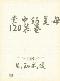 掌中的美母版主120慕卷