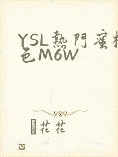 YSL热门蜜桃色M6W