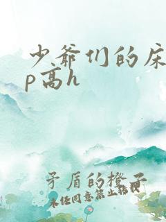 少爷们的床奴np高h