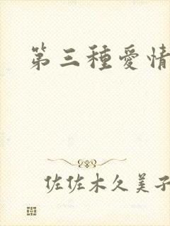 第三种爱情续集