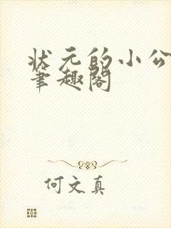 状元的小公主 笔趣阁