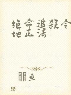 绝命追杀令2就地正法