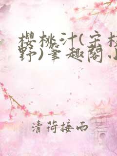 樱桃汁(宋枝江野)笔趣阁小说