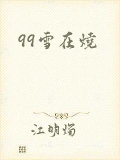 99雪在烧