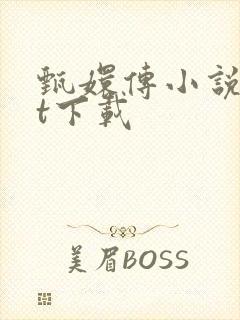 甄嬛传小说txt下载