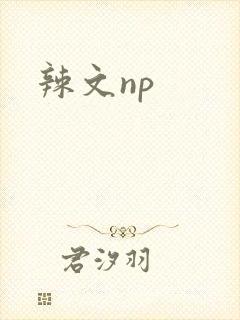 辣文np